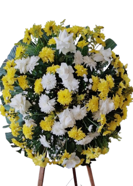 baixados (1)