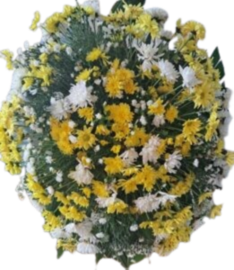 baixados (3)