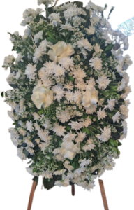 baixados (5)